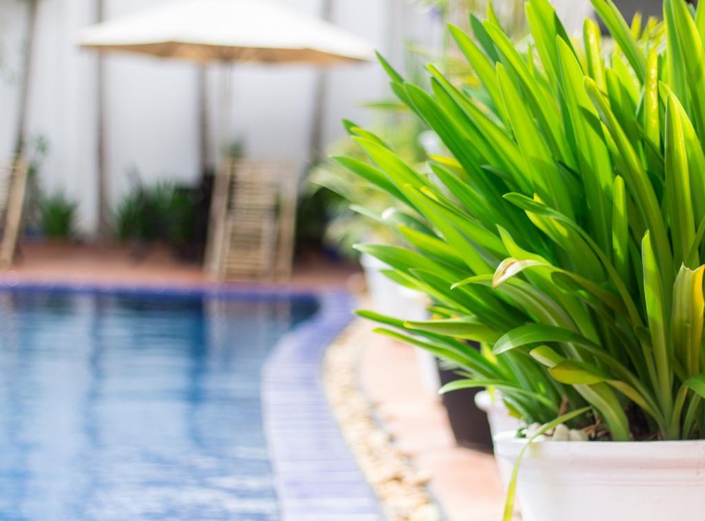 Overflow Guesthouse سيام ريب المظهر الخارجي الصورة